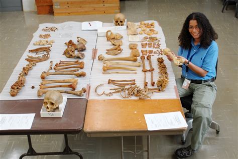 Forensic Anthropology and Bioarchaeology Reveals a。